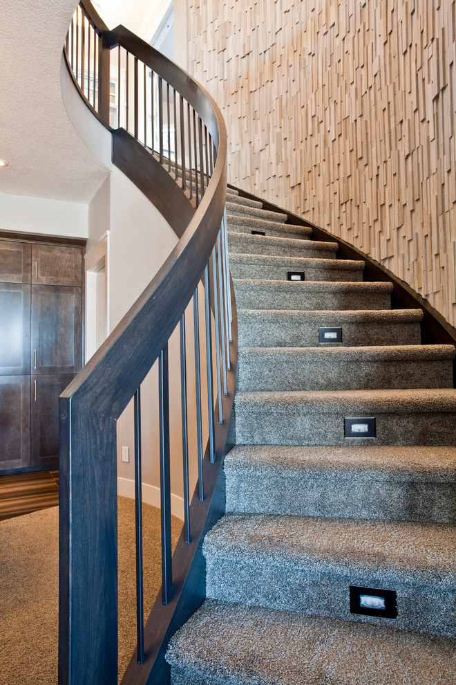 Inspiration for a modern carpeted curved staircase in Calgary with carpeted risers.