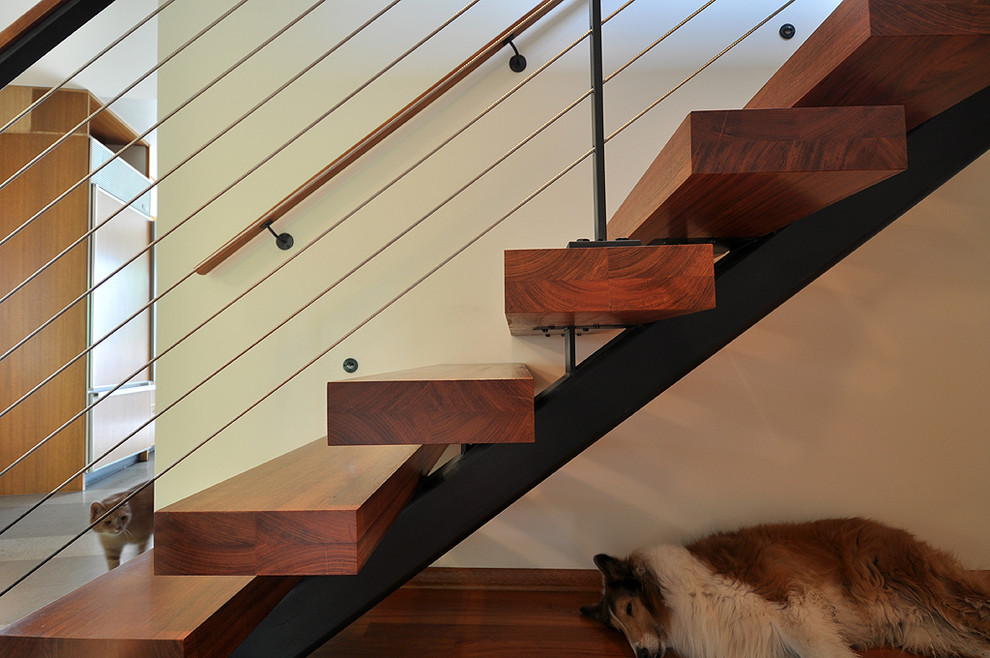 На фото: прямая лестница среднего размера в современном стиле с деревянными ступенями без подступенок