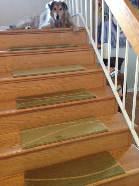 ニューヨークにあるお手頃価格の中くらいなコンテンポラリースタイルのおしゃれな直階段 (木の蹴込み板) の写真