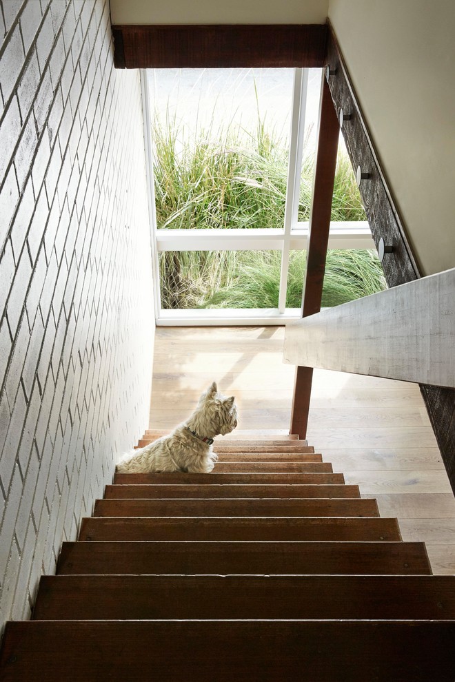 メルボルンにある小さなコンテンポラリースタイルのおしゃれな階段 (木材の手すり) の写真