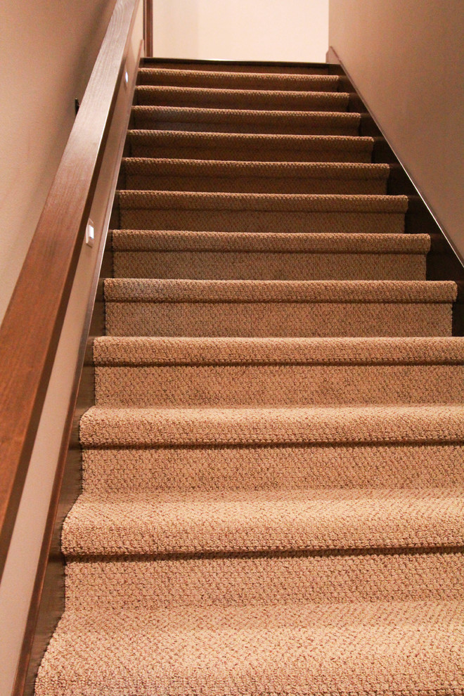 Photo of a classic carpeted straight staircase in Other with carpeted risers.