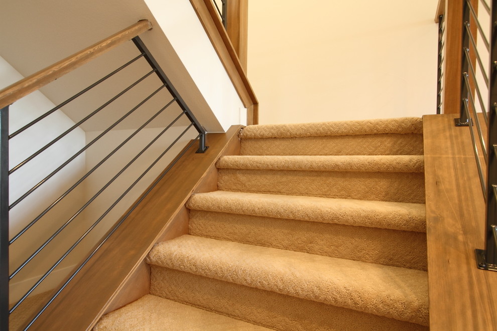 Свежая идея для дизайна: большая п-образная лестница в стиле неоклассика (современная классика) с ступенями с ковровым покрытием, ковровыми подступенками и деревянными перилами - отличное фото интерьера