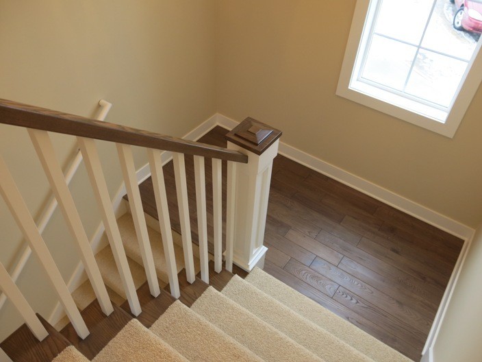 This is an example of a medium sized traditional carpeted u-shaped staircase in Grand Rapids with wood risers.