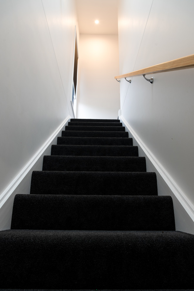 Staircase - mid-sized modern carpeted straight wood railing staircase idea in Canberra - Queanbeyan with carpeted risers