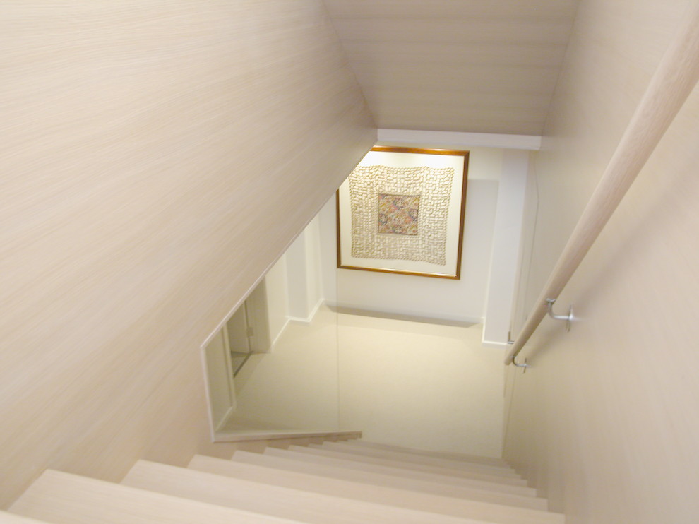 Staircase - contemporary staircase idea in Boston