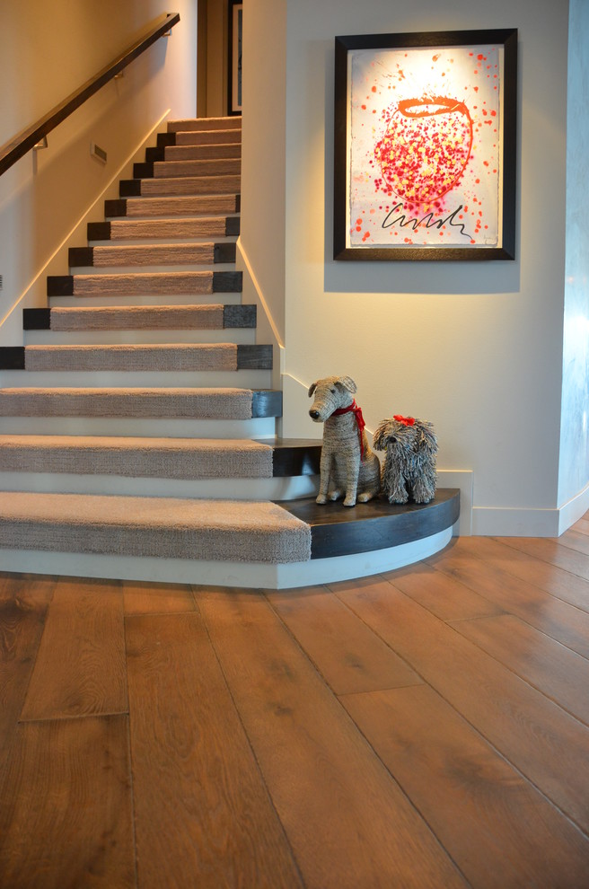 Imagen de escalera recta contemporánea de tamaño medio con escalones enmoquetados y contrahuellas de madera pintada