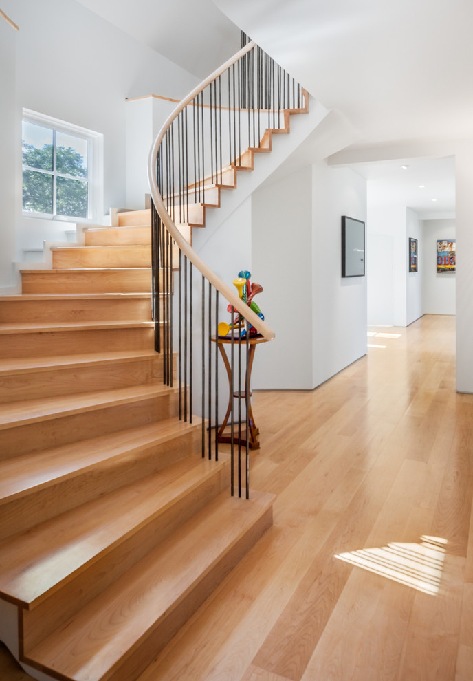 Réalisation d'un grand escalier courbe design avec des marches en bois et des contremarches en bois.