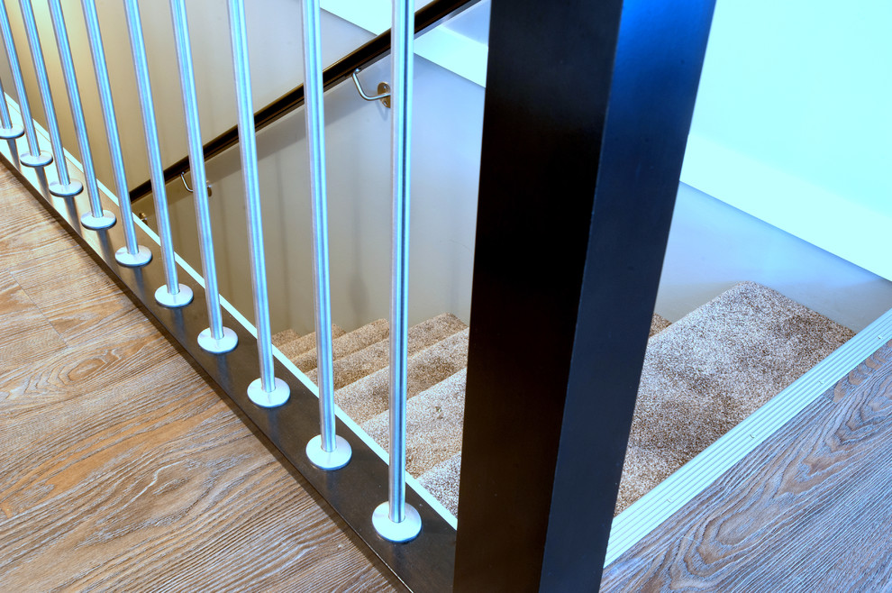 Cette photo montre un escalier droit de taille moyenne avec des marches en moquette et des contremarches en moquette.