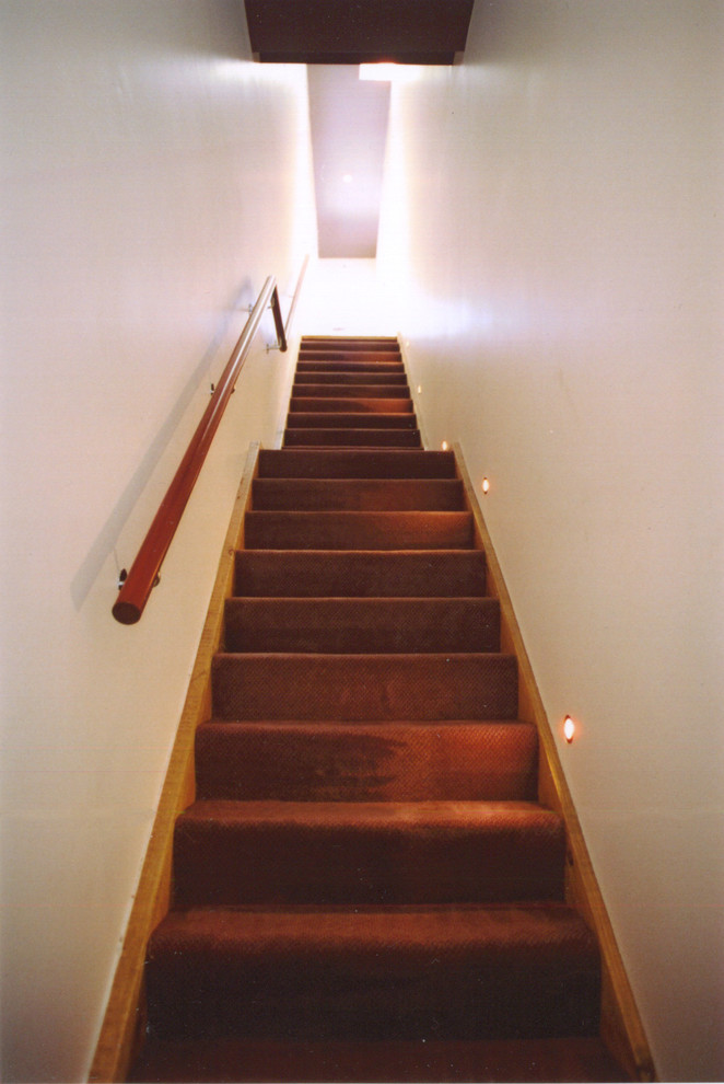 Cette photo montre un escalier droit tendance de taille moyenne avec des marches en moquette, des contremarches en moquette et un garde-corps en bois.