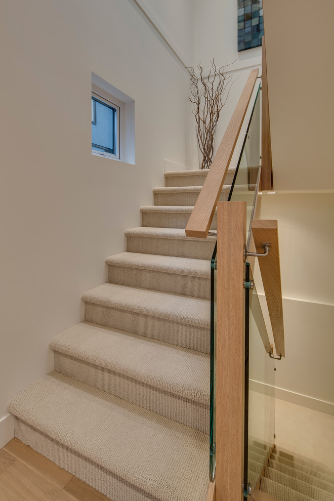 Diseño de escalera recta contemporánea pequeña con escalones enmoquetados y contrahuellas enmoquetadas