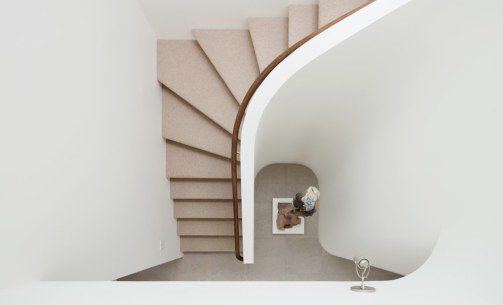 Идея дизайна: изогнутая деревянная лестница среднего размера в стиле модернизм с ступенями с ковровым покрытием