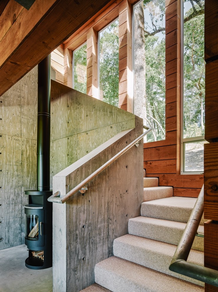 Источник вдохновения для домашнего уюта: лестница в современном стиле с ступенями с ковровым покрытием и ковровыми подступенками