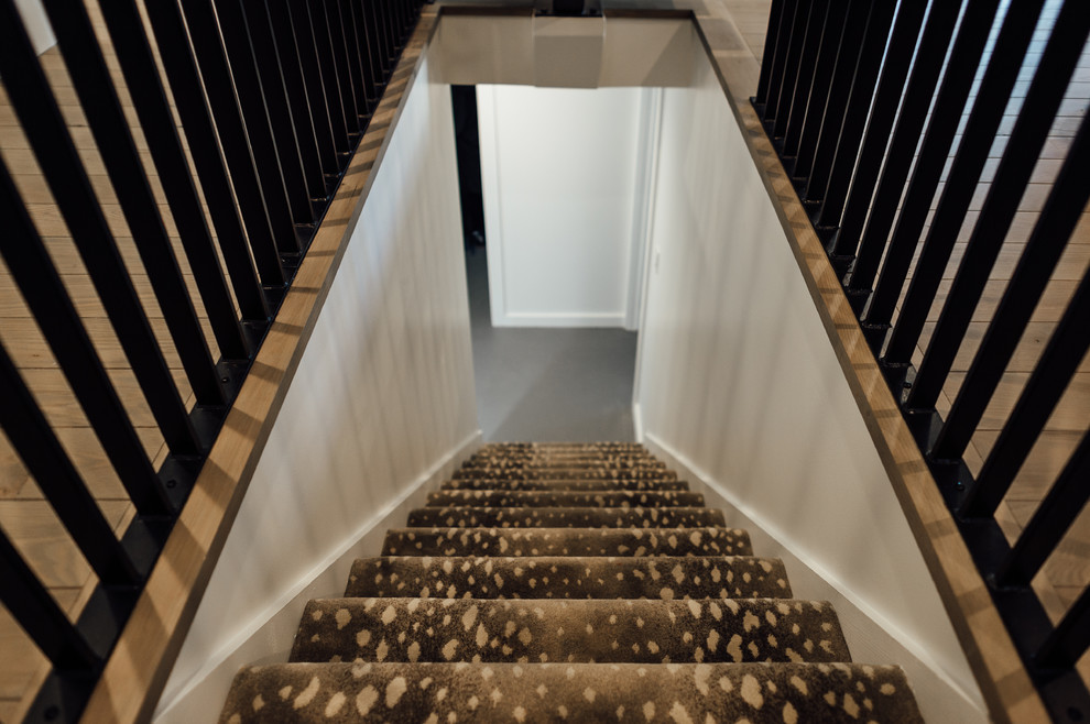 ソルトレイクシティにあるお手頃価格の中くらいなミッドセンチュリースタイルのおしゃれな直階段 (カーペット張りの蹴込み板) の写真