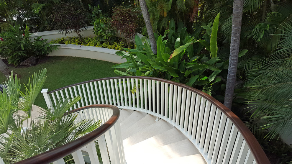 Aménagement d'un escalier carrelé courbe exotique de taille moyenne avec des contremarches carrelées.