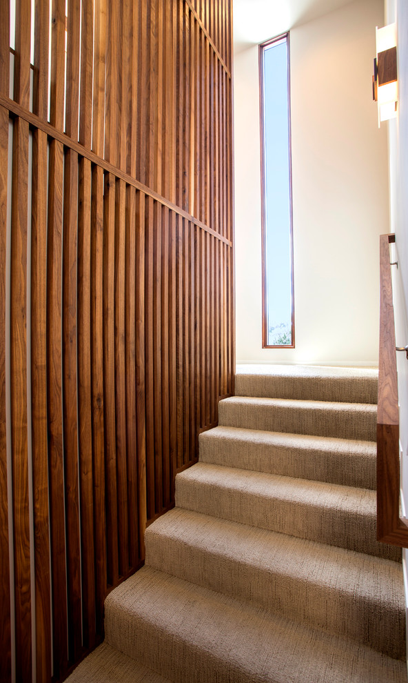Inspiration for a contemporary carpeted u-shaped staircase remodel in San Luis Obispo with carpeted risers