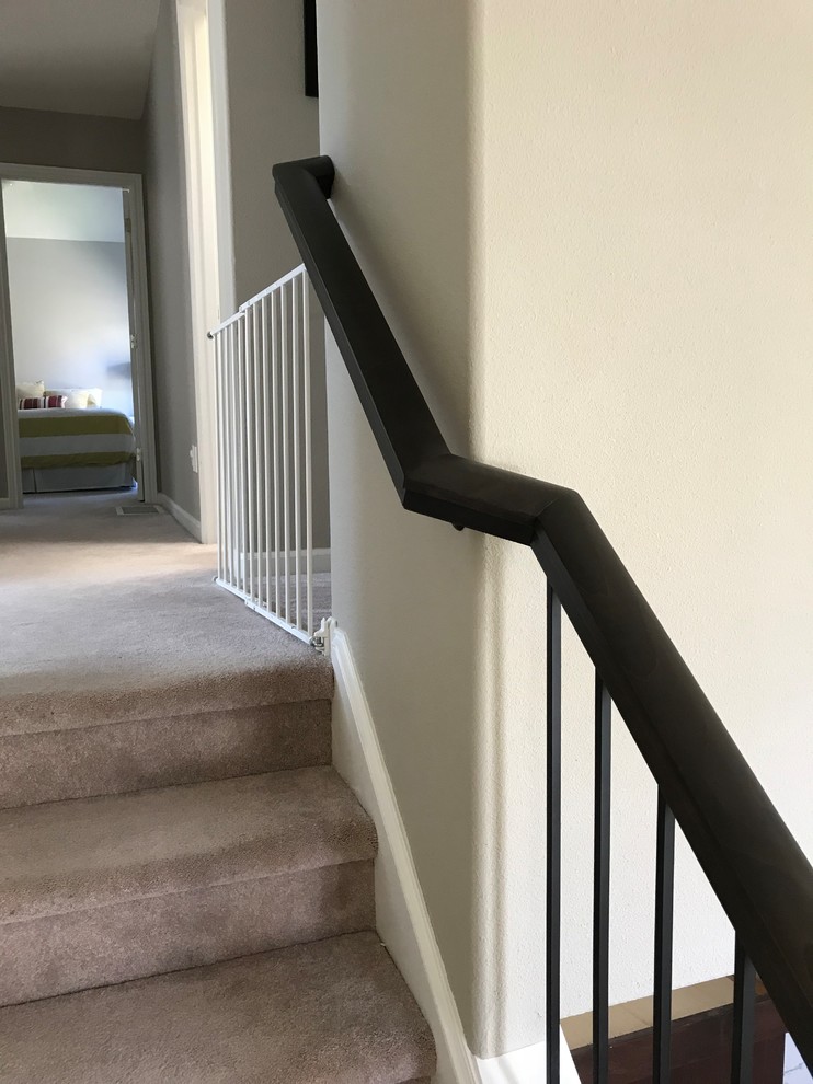 Идея дизайна: прямая лестница среднего размера в стиле ретро с ступенями с ковровым покрытием, ковровыми подступенками и перилами из смешанных материалов