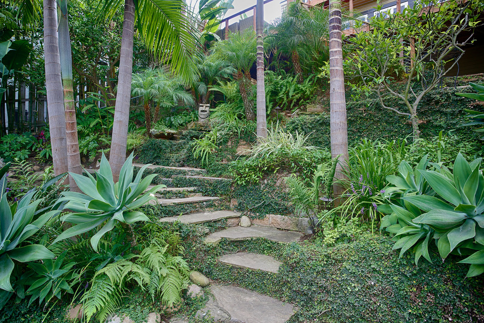 サンディエゴにあるトロピカルスタイルのおしゃれな庭の写真