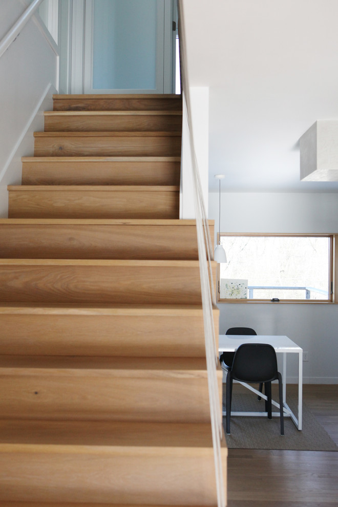 Стильный дизайн: прямая деревянная лестница среднего размера в стиле модернизм с деревянными ступенями - последний тренд