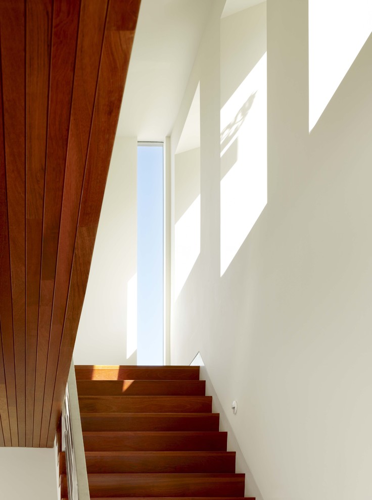 Свежая идея для дизайна: деревянная лестница в стиле модернизм с деревянными ступенями - отличное фото интерьера