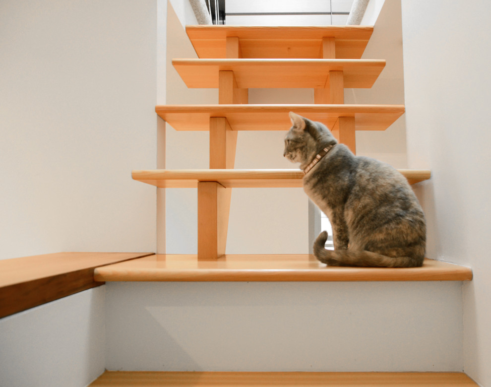 Staircase - eclectic staircase idea in Vancouver