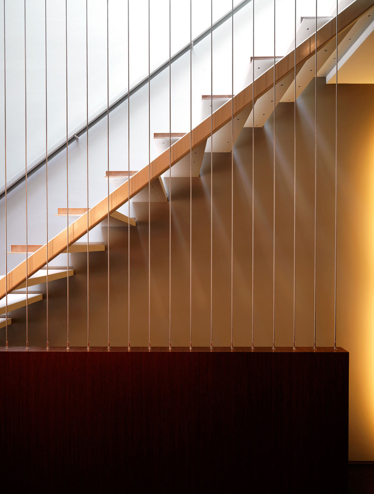Cette image montre un escalier sans contremarche design avec un garde-corps en câble.