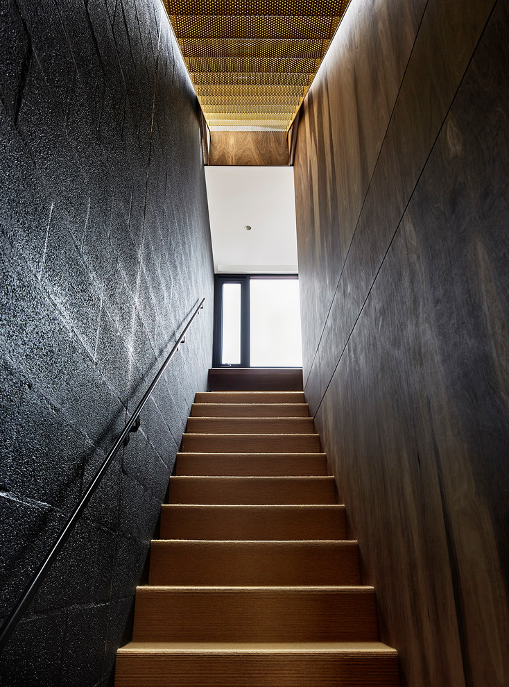 Пример оригинального дизайна: прямая лестница среднего размера в современном стиле с ступенями с ковровым покрытием и ковровыми подступенками