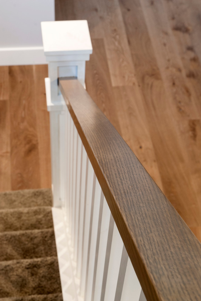 Cette photo montre un grand escalier droit tendance avec des marches en moquette et des contremarches en moquette.