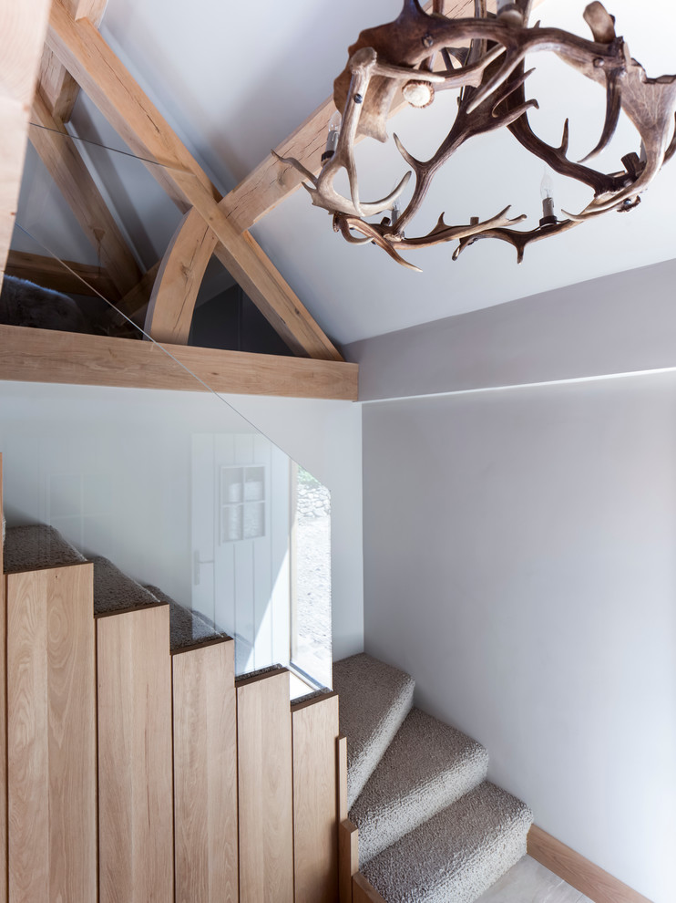 Idéer för en mellanstor modern u-trappa, med heltäckningsmatta och sättsteg i trä