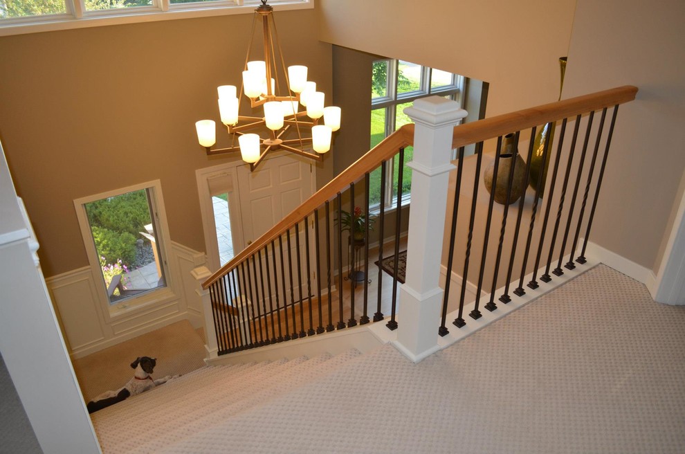 Idées déco pour un escalier droit moderne avec des marches en moquette et des contremarches en moquette.