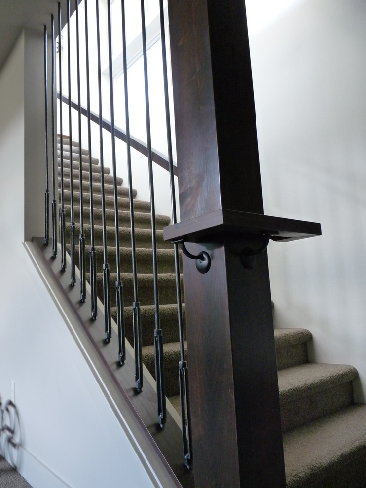 Источник вдохновения для домашнего уюта: прямая лестница среднего размера в современном стиле с ступенями с ковровым покрытием и ковровыми подступенками