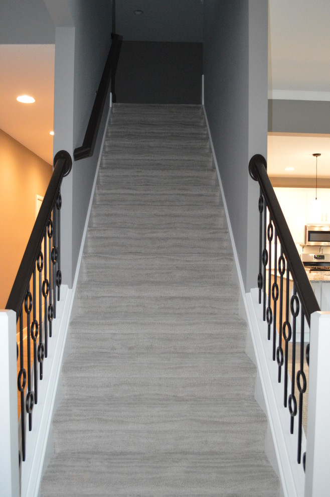 Réalisation d'un escalier droit minimaliste de taille moyenne avec des marches en moquette, des contremarches en moquette et un garde-corps en métal.