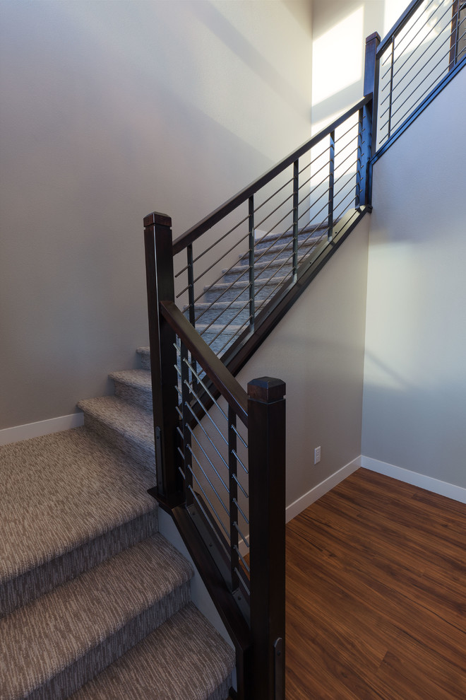 Источник вдохновения для домашнего уюта: большая угловая лестница в современном стиле с ступенями с ковровым покрытием, ковровыми подступенками и перилами из тросов