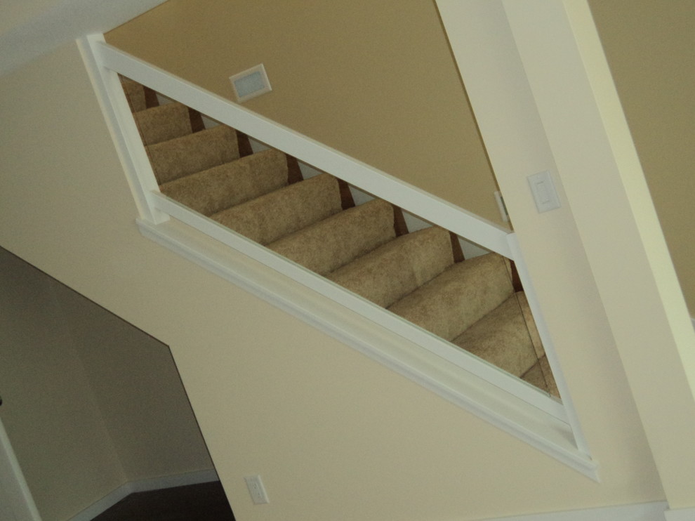 Идея дизайна: прямая лестница среднего размера в классическом стиле с ступенями с ковровым покрытием, ковровыми подступенками и перилами из смешанных материалов