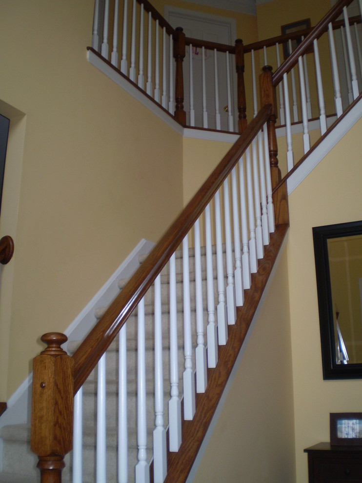 Staircase - mid-sized transitional carpeted l-shaped staircase idea in Philadelphia with carpeted risers