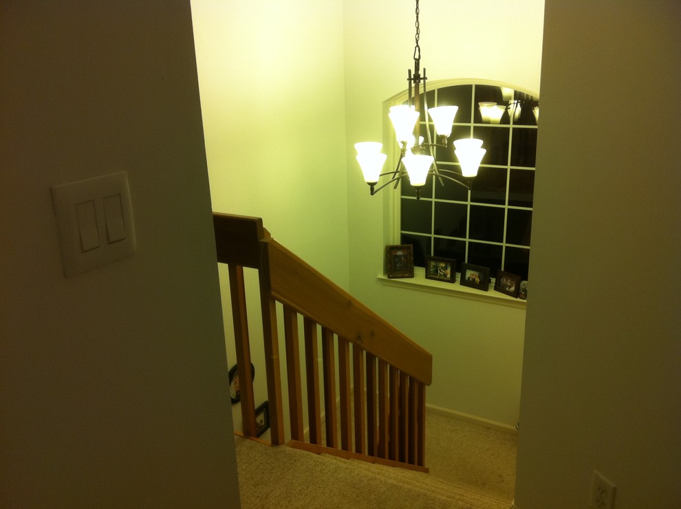 Inspiration for a small modern carpeted u-shaped staircase remodel in Philadelphia with carpeted risers