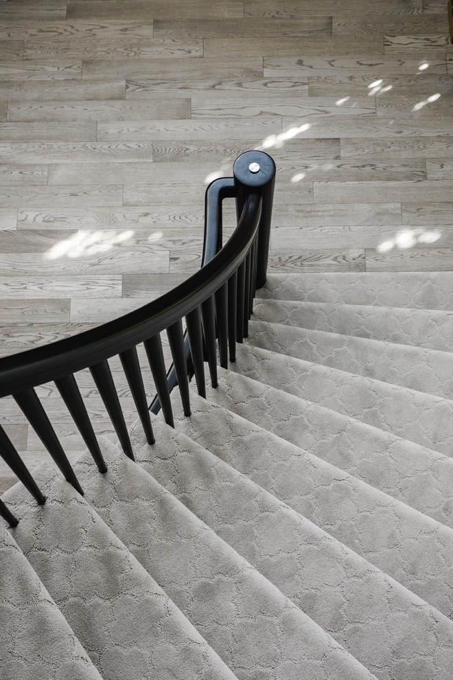 Стильный дизайн: изогнутая лестница среднего размера в современном стиле с ступенями с ковровым покрытием и ковровыми подступенками - последний тренд