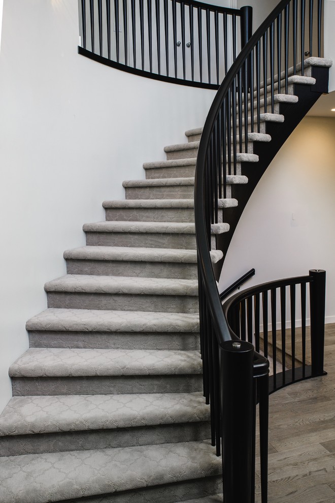 Gewendelte, Mittelgroße Moderne Treppe mit Teppich-Treppenstufen und Teppich-Setzstufen in Sonstige
