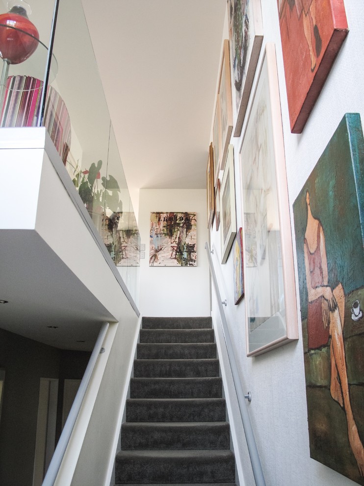 Стильный дизайн: прямая лестница среднего размера в стиле фьюжн с ступенями с ковровым покрытием и ковровыми подступенками - последний тренд