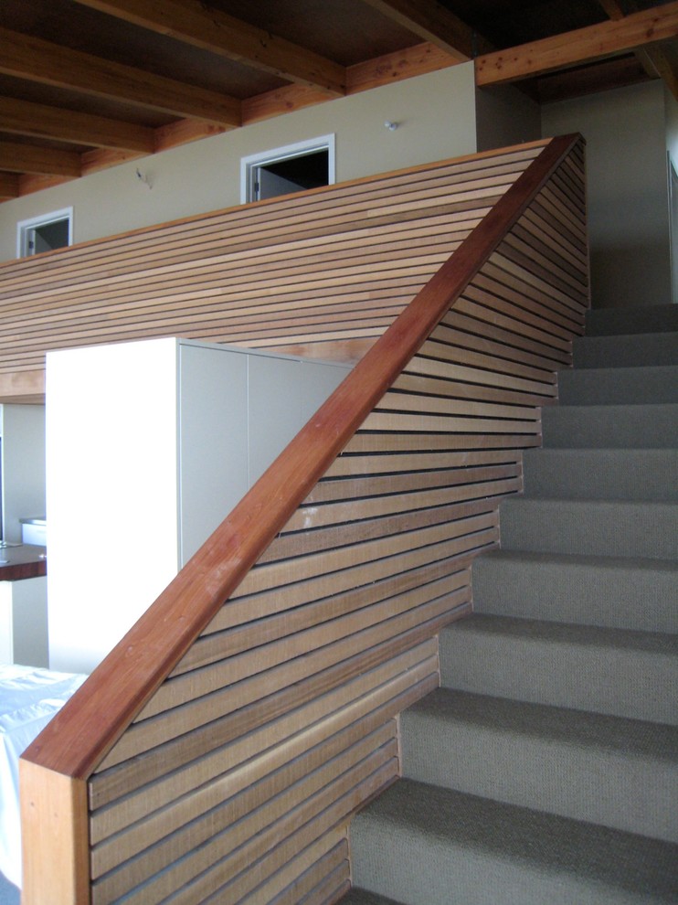 Idée de décoration pour un escalier droit minimaliste de taille moyenne avec des marches en moquette et des contremarches en moquette.