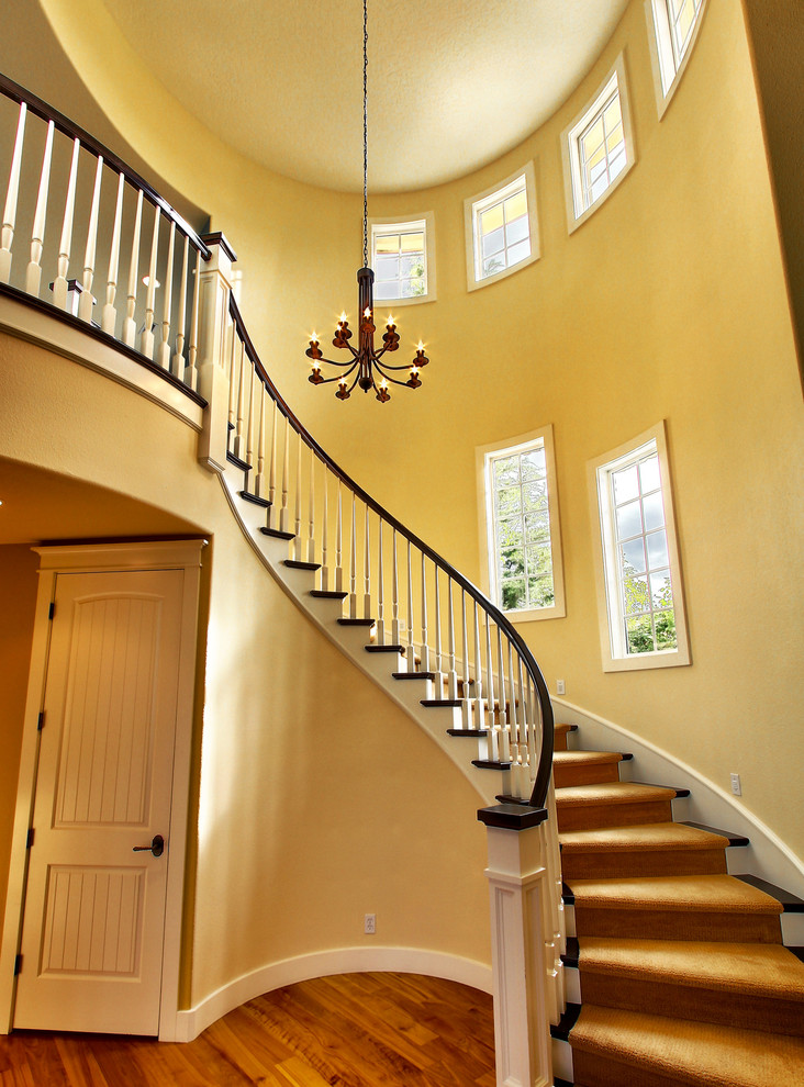Cette image montre un petit escalier courbe traditionnel avec des marches en moquette et des contremarches en moquette.