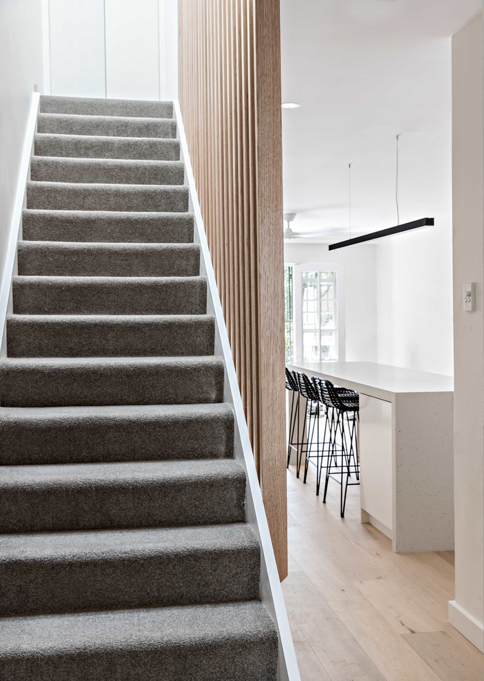 Idéer för en mellanstor modern rak trappa, med heltäckningsmatta, sättsteg med heltäckningsmatta och räcke i trä