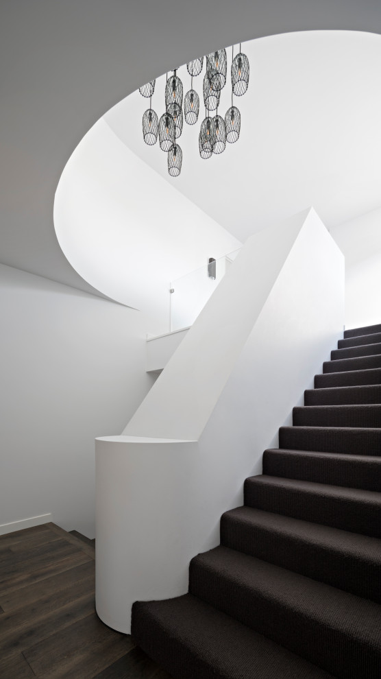 Источник вдохновения для домашнего уюта: большая п-образная лестница в стиле модернизм с ступенями с ковровым покрытием, ковровыми подступенками и деревянными перилами