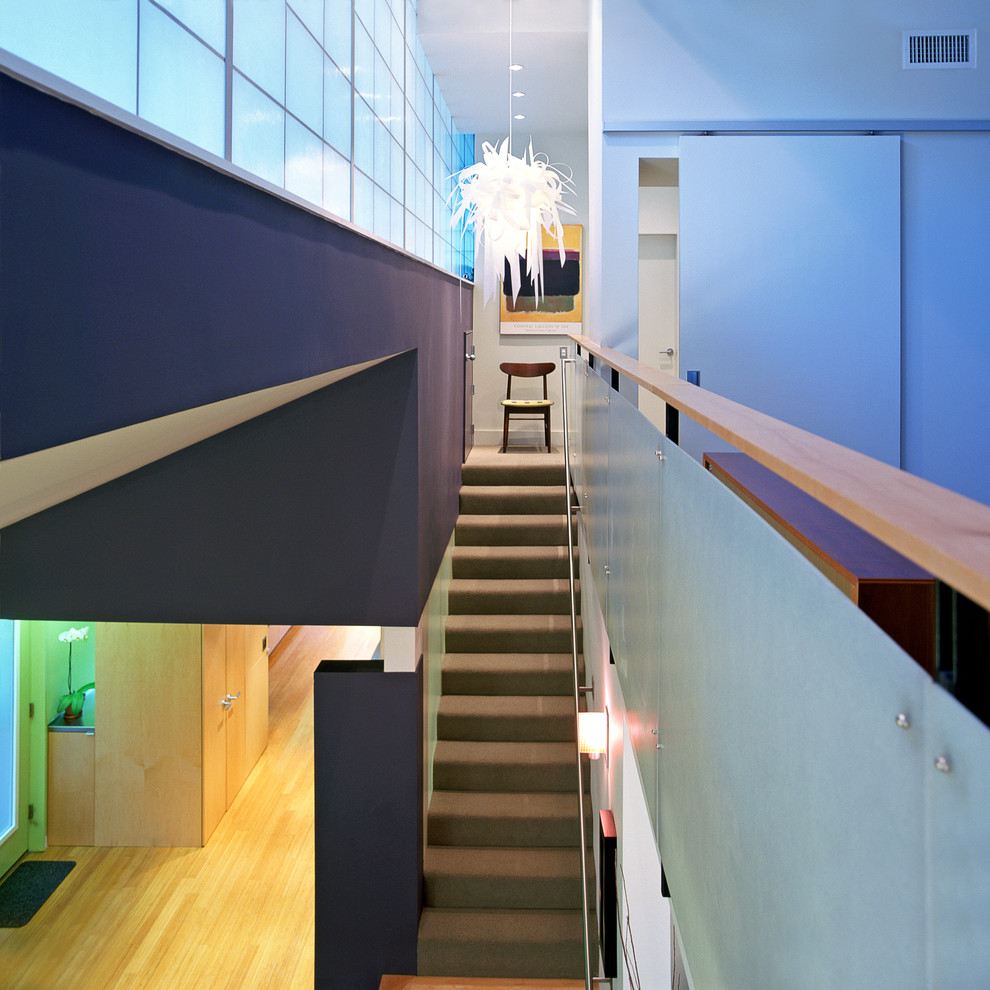 Gerade Moderne Treppe mit Teppich-Treppenstufen und Teppich-Setzstufen in Washington, D.C.