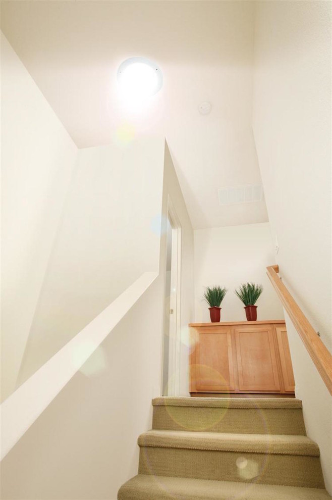 На фото: прямая лестница среднего размера в стиле неоклассика (современная классика) с ступенями с ковровым покрытием, ковровыми подступенками и деревянными перилами