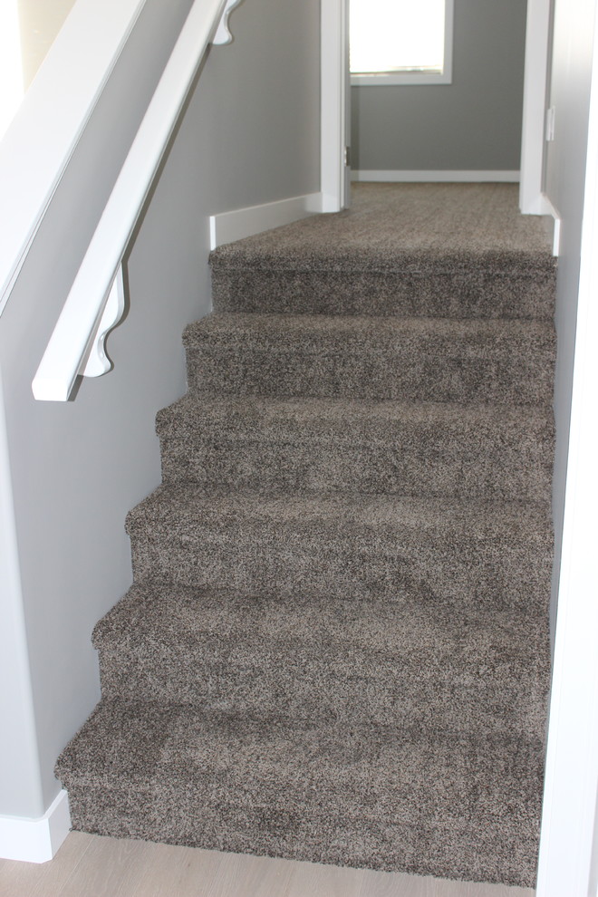 This is an example of a medium sized modern carpeted straight staircase in Edmonton with carpeted risers.
