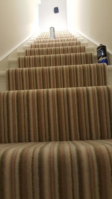 Photo of a medium sized traditional carpeted u-shaped wood railing staircase in London with carpeted risers.