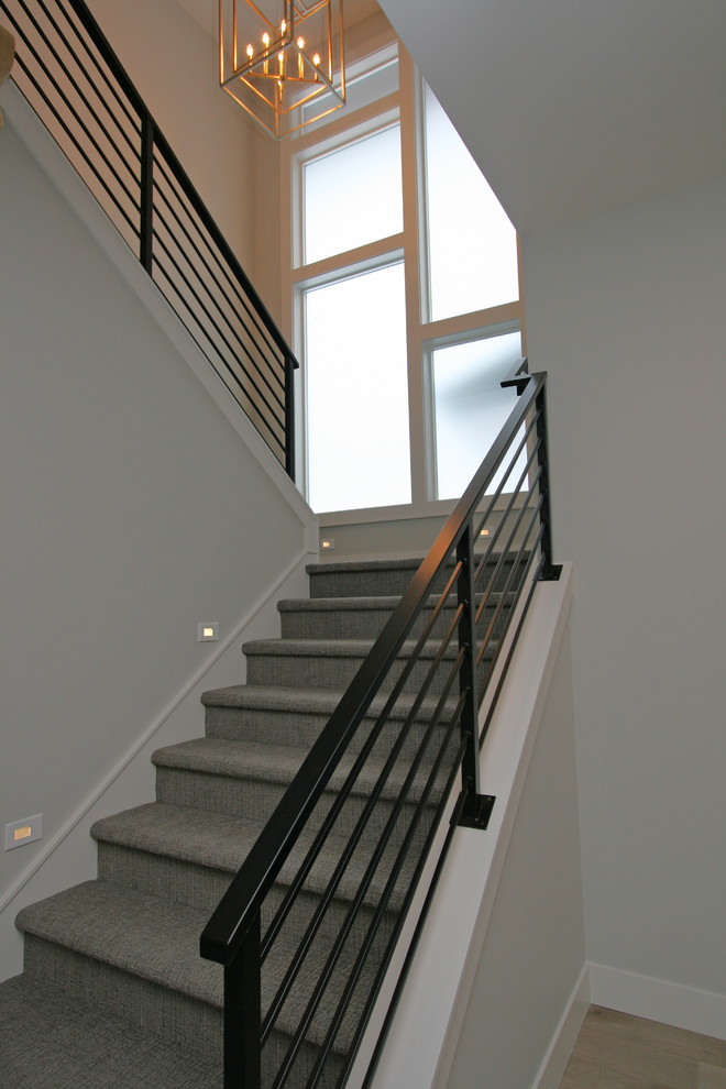 Источник вдохновения для домашнего уюта: п-образная лестница среднего размера в современном стиле с ступенями с ковровым покрытием, ковровыми подступенками и металлическими перилами