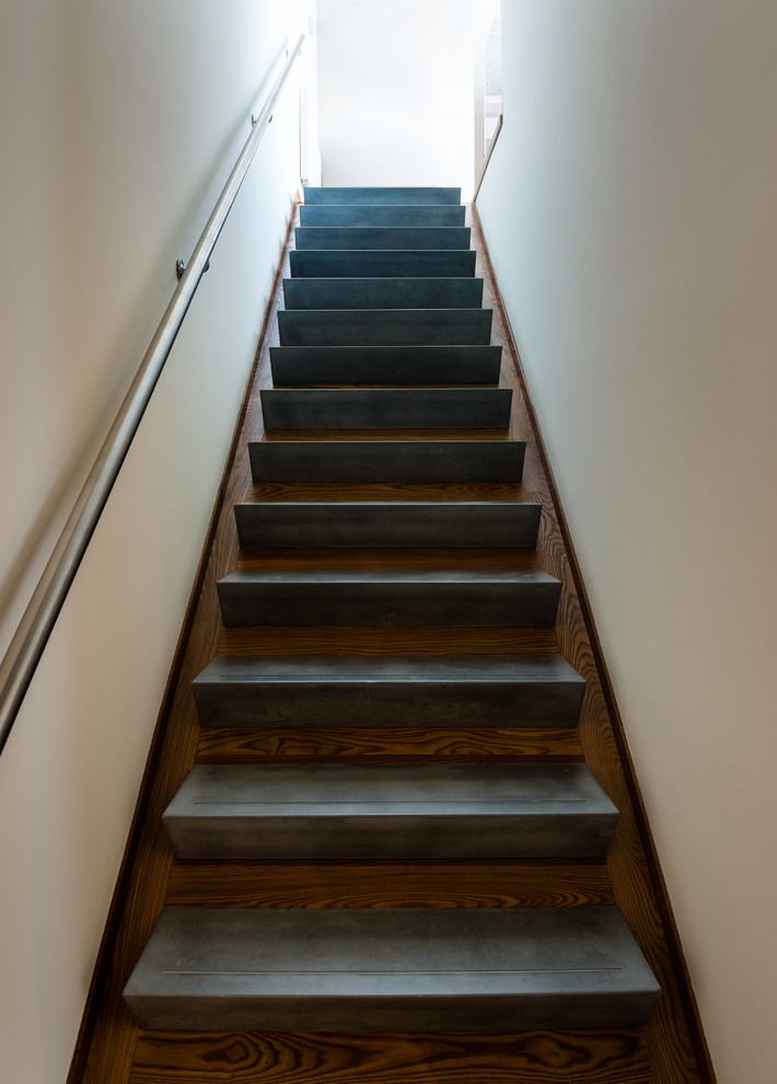 ボルチモアにある高級な中くらいなモダンスタイルのおしゃれな直階段 (木の蹴込み板、金属の手すり) の写真