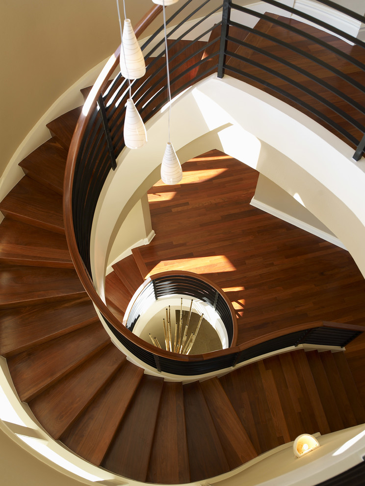 Photo of a medium sized contemporary wood curved metal railing staircase in Tampa with wood risers.