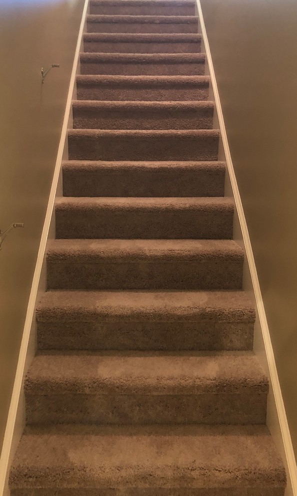 Gerade, Mittelgroße Klassische Treppe mit Teppich-Treppenstufen und Teppich-Setzstufen in Charlotte